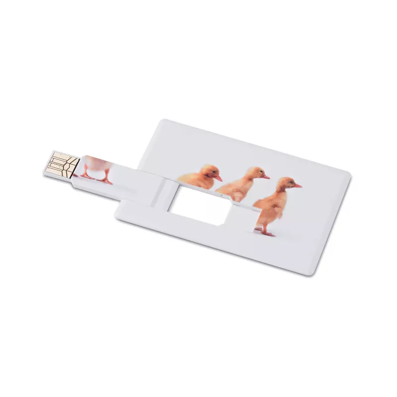 Creditcard. USB flash 4GB