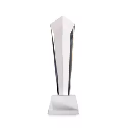 Trofeo de cristal con caja