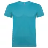 Camiseta Niño Beagle Roly