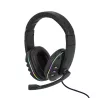 Auriculares