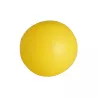 Balón PVC