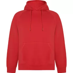 Sudadera con Capucha Unisex Vinson Roly