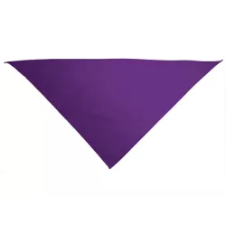 Pañuelo triangular Gala adulto violeta