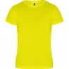Camiseta Técnica de Hombre Camimera Roly
