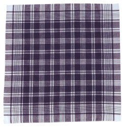 Pañuelo Cuadrado Niño Blanco/Azul