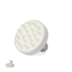 Emulsionador Caña de Trigo/ PP/ Silicona