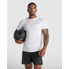 Camiseta Montecarlo ROLY adulto