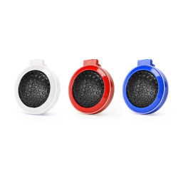 Cepillo Plegable Con Espejo Blunt