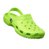 Zueco Lyles ROLY Royal