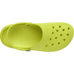 Zueco Lyles ROLY Royal