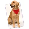 Collar Bandana ROCO