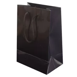 Bolsa Regalo Papel Plastif.