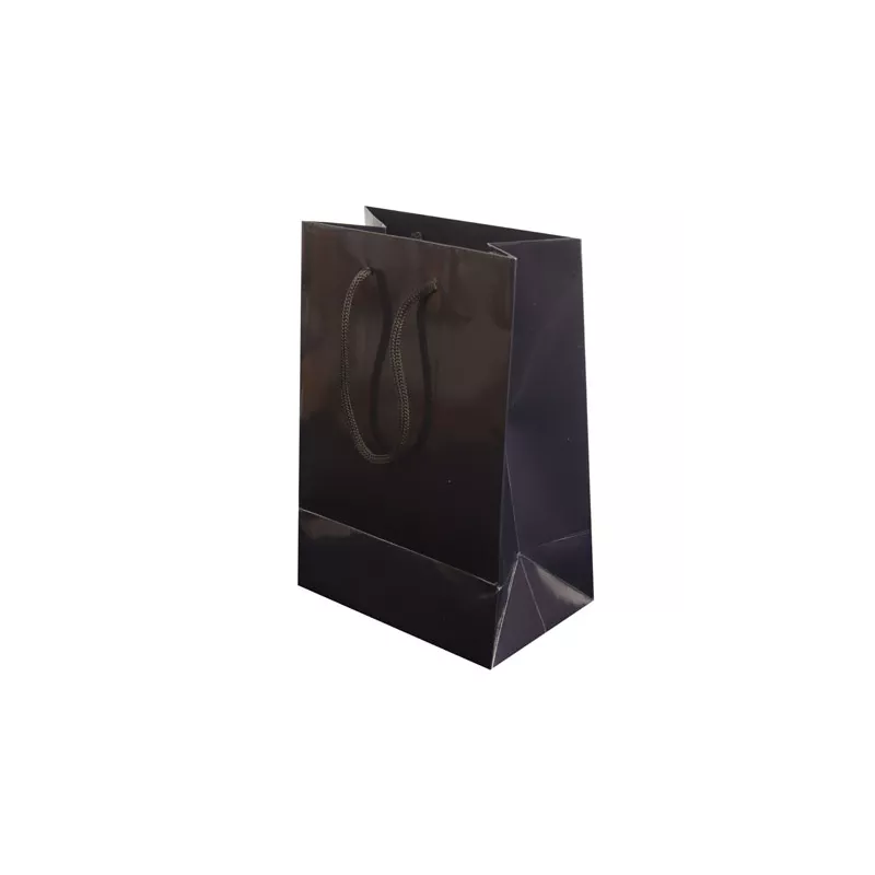 Bolsa Regalo Papel Plastif.