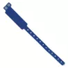 Pulsera Registro