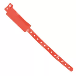 Pulsera Registro