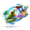 Eco tarjeta usb