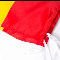 Bandera Poliéster 190T