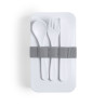 Fiambrera Antibacteriana PP