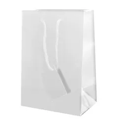 Bolsa Regalo Papel Plastificado