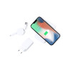 Set Power Bank 3 Accesorios. Power Bank Inalámbrico 5W, 4000 mAh, 1 Salida USB y 1 Tipo C, Entrada T