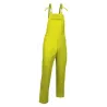 Petro Pregón Adulto Amarillo Flúor