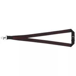 Lanyard