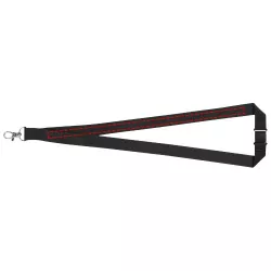 Lanyard