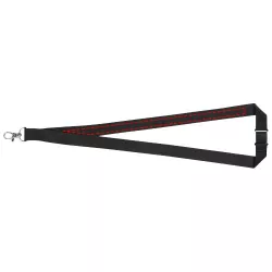 Lanyard
