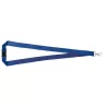 Lanyard
