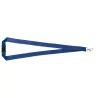 Lanyard