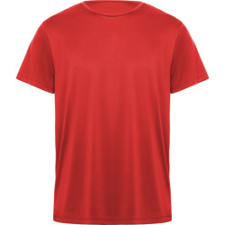 Camiseta Daytona ROLY adulto
