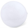 Balon inflable de PVC