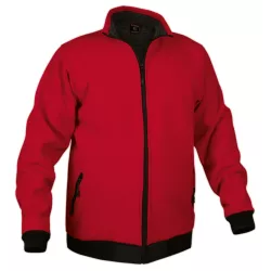 Chaqueta Beartex Alaska Niño Gris