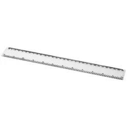 Regla de 30 cm