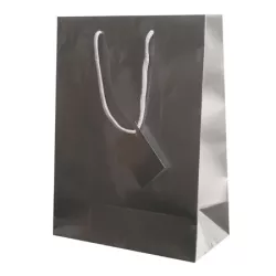 Bolsa Regalo Papel Plastif. 