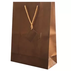 Bolsa Regalo Papel Plastif. 