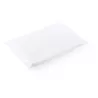 Poncho PLA 100% Compostable