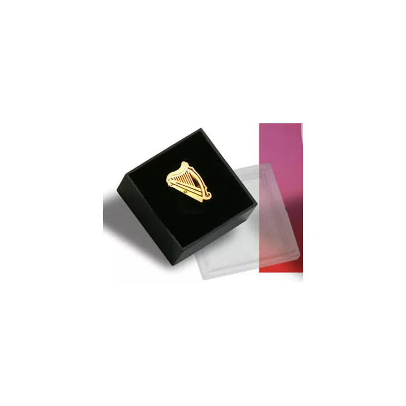 Pin 