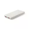 Power Bank Caña de Trigo/ ABS