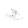 Set Cargadores Caña de Trigo/ ABS. Cargador USB Carga Rápida, 1 Salida USB y 1 Salida Tipo C