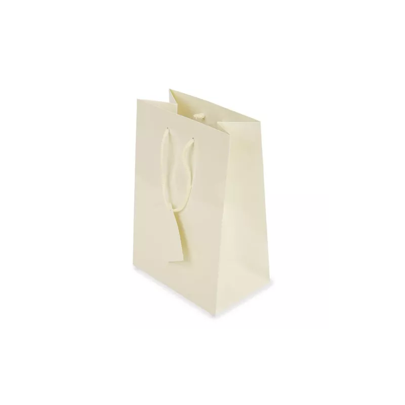 Bolsa Regalo Papel Plastificado