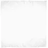 Pañuelo Cuadrado Bandana Adulto Blanco