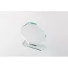 Trofeo de cristal con caja