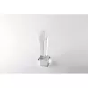 Trofeo de cristal con caja