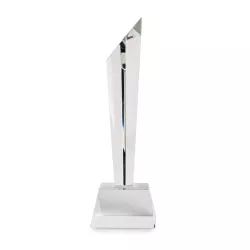 Trofeo de cristal con caja