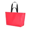 Bolsa PP-Woven