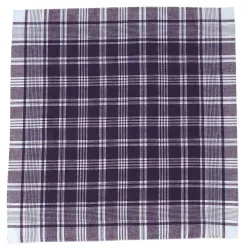 Pañuelo Cuadrado Niño Blanco/Azul