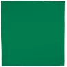 Pañuelo Cuadrado Bandana Adulto Verde Primavera
