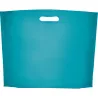 Bolsa Non Woven con fuelle en la base