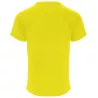 Camiseta Monaco ROLY adulto